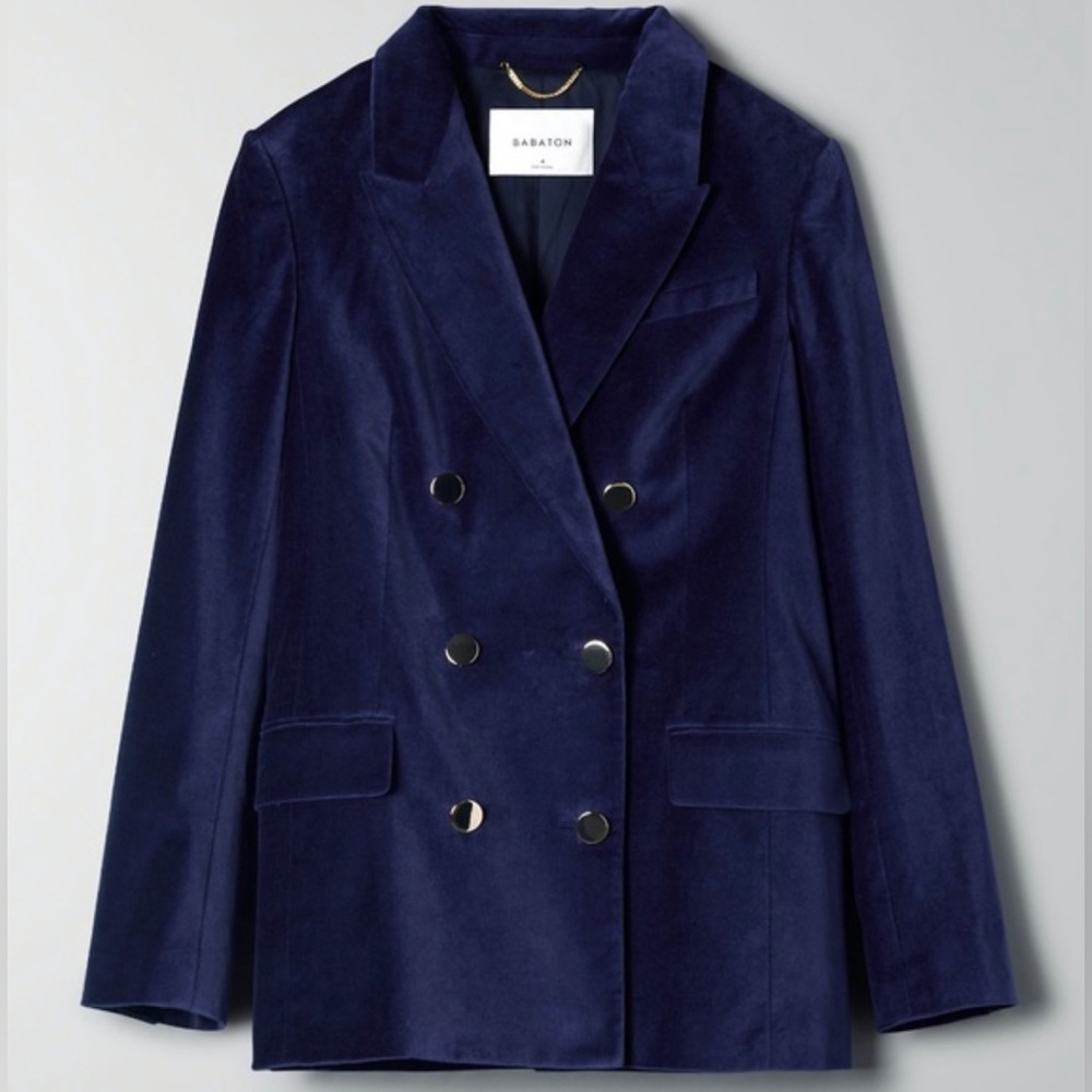 Aritzia Babaton Samuel Velvet Blazer